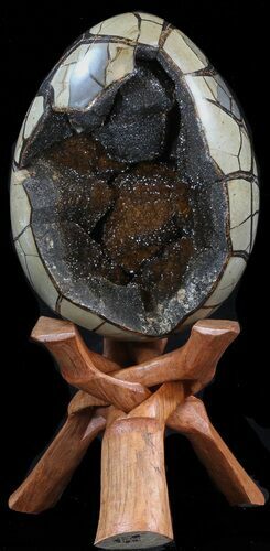 Septarian Dragon Egg Geode - Black Crystals #40932